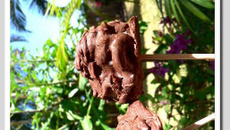 Sucette glacée chocolat abricot
