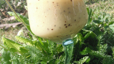 Smoothie vitaminé rapide