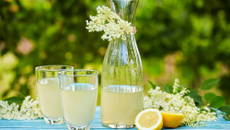 Mocktail (cocktail sans alcool) à la fleur de sureau et au citron