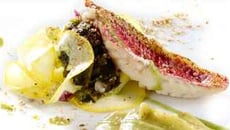 Panaché d'algues fraîches et filets de rougets grillés, émulsion de laitue de mer