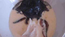 Crème d'ail, effeuillée de morue et anchois, glace à l'encre de seiche