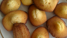 Madeleines en coque de craquelin