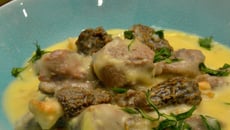 Blanquette d'agneau aux morilles