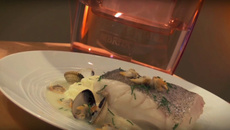 Lieu poché aux algues