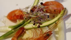 Méli-mélo d'asperges, crabe et crevettes, vinaigre au jus de mandarine