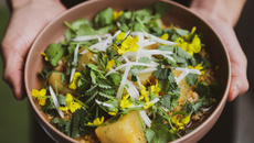 Couscous Navet & Freekeh