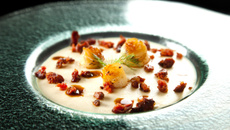 Houmous de Paimpol et saint jacques laquées au bouillon corsé Ariaké, lardons de chorizo