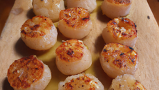 Bouchées craquantes de noix de Saint-Jacques à l'huile fumée et arômates