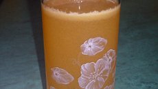 Jus de pommes à la centrifugeuse