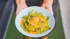 Plats à base d'haricots