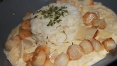 Saint-jacques et crème de poireau, accompagnés de riz