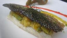 Millefeuille de bar, mangue et avocat, son beurre rhum-vanille et poudre de kumbawa