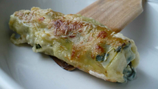 Cannelloni aux épinards