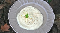 Purée de cèleri rave