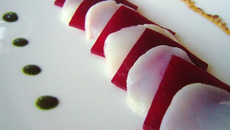 Carpaccio de saint jacques à l'huile de thé-menthe