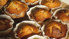 Muffins aux pépites de chocolat sans gluten