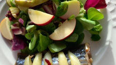 Salade pomme et hareng