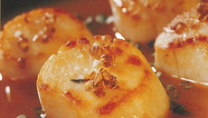 Nage de coquilles Saint-Jacques au jus de carotte et aux 2 coriandres