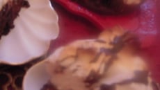 Gâteau au chocolat couronné d'une meringue