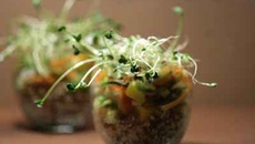 Verrine de quinoa, petite salade de surimi, mangue et graines germées.