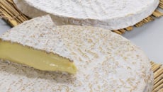 Cannelloni aux champignons gratinés au brie