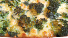 Gratin de brocolis au bleu