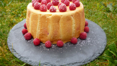 Charlotte aux framboises fraiches et surgelées