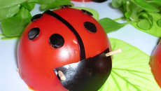 Coccinelles reconstituées