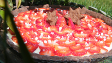 Tarte pannacotta rhubarbe aux fraises