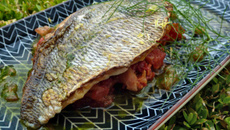 Filet de dorade à la tomate et sauce basilic