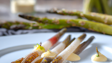 Asperges de 'Candor' à l'anguille fumée de la Somme