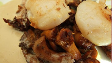 Saint-Jacques sur lit de girolles et sa petite sauce au foie gras