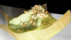 Tulipe d'espuma avocat