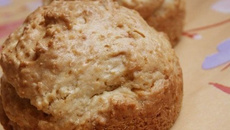 Muffins 100% coco