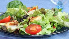 Salade aux coquilles st jacques et baies roses