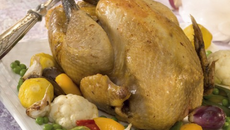 Chapon de pintade à l'ail et au pastis