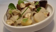 Blanquette de noix de pétoncles, champignons et noisettes