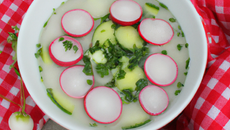 Soupe de radis et de concombre