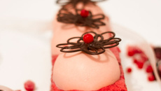 Gâteau tout rose aux fruits rouges