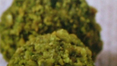 Boules au chocolat blanc thé vert et pistaches