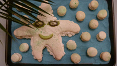 Plongeon en mer des Macarons