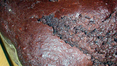 Cake crémeux au cacao