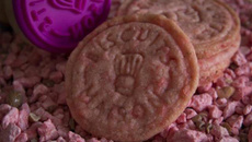 Les biscuits fait maison aux pralines roses et cranberries