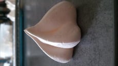 Petites meringues suisses