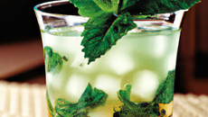 Mint Julep