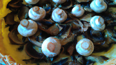 Tarte aux champignons et bleu