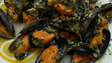 Moules pescalunaires