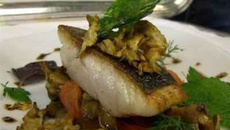 Filets de loup cuit sur la peau, artichaut sauté à cru, vinaigrette aux herbes