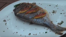Dorade a la plancha