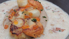 Saint jacques rôties, fine purée de châtaignes et bouillon de châtaignes au foie gras